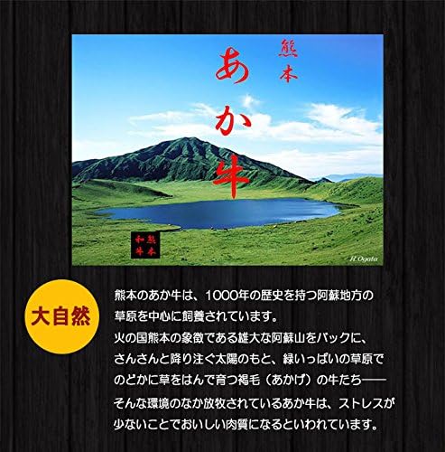 Japanese Beef from Kumamoto Prefecture Shredded Aka Beef, 2.2 lbs (1 kg) (Frosted and Red Meat Trial Set)