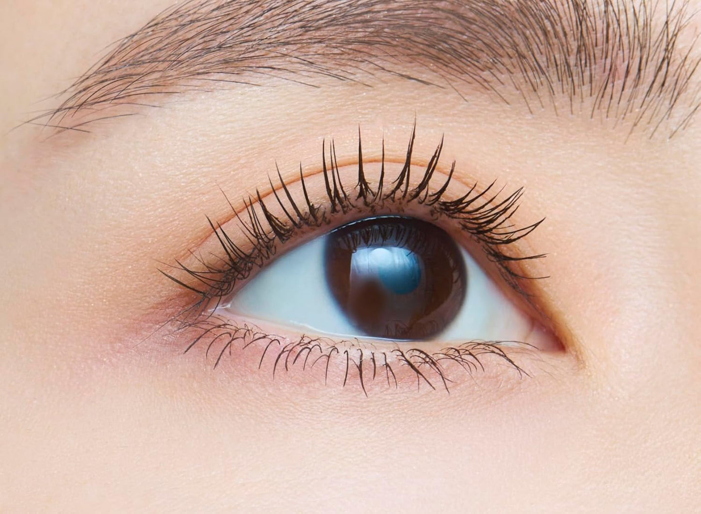 dejavu Applying False Eyelashes Volume Type Lash Knockout Extra Volume 1 Black Mascara Film Type