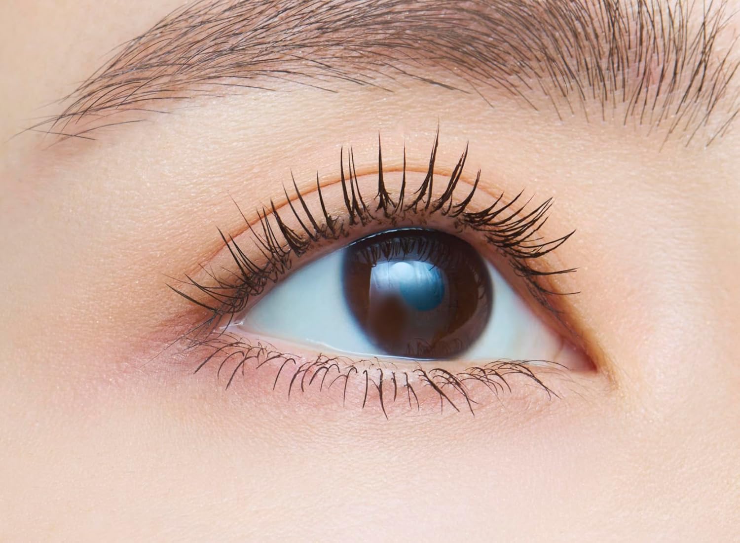 dejavu Applying False Eyelashes Volume Type Lash Knockout Extra Volume 1 Black Mascara Film Type