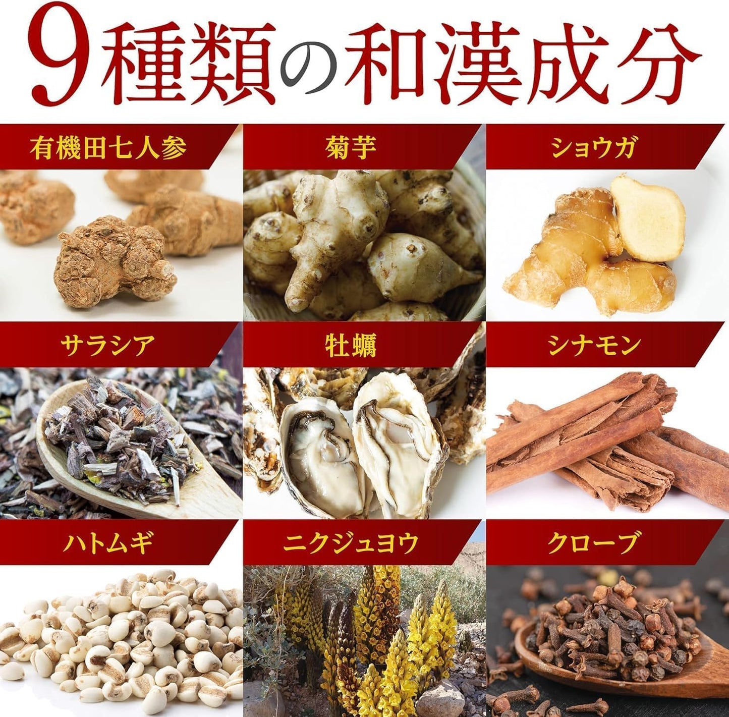 【International Chinese Medicine Doctor Supervision】Mulberry Leaf & Catechin Tea Powder Benefits 1 Bag 120 Tablets Blood Sugar Level Control Functionally Labeled Food Pharmacist Supervision Catechin