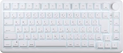 AIM1 Shun MATATAKI Rapid Trigger 8000Hz Polling Rate Wired 75% Size Backlit LED Gaming Keyboard Magnetic Switch (Japanese Array)