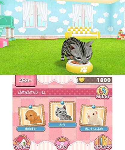 かわいいペットとくらそう! わんニャン&ミニミニアニマル - 3DS