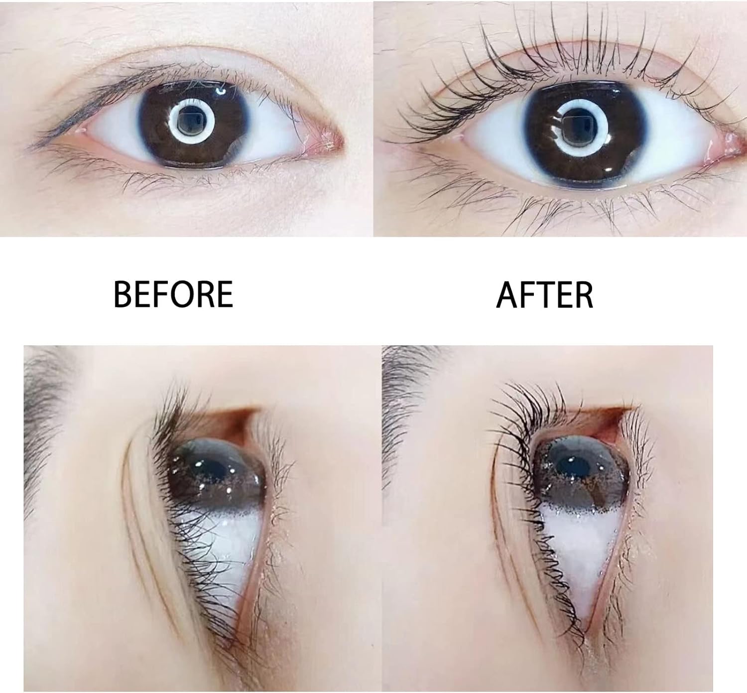 SILKY ROLLS False Eyelash Curl Set | Japanese Instruction Manual Included