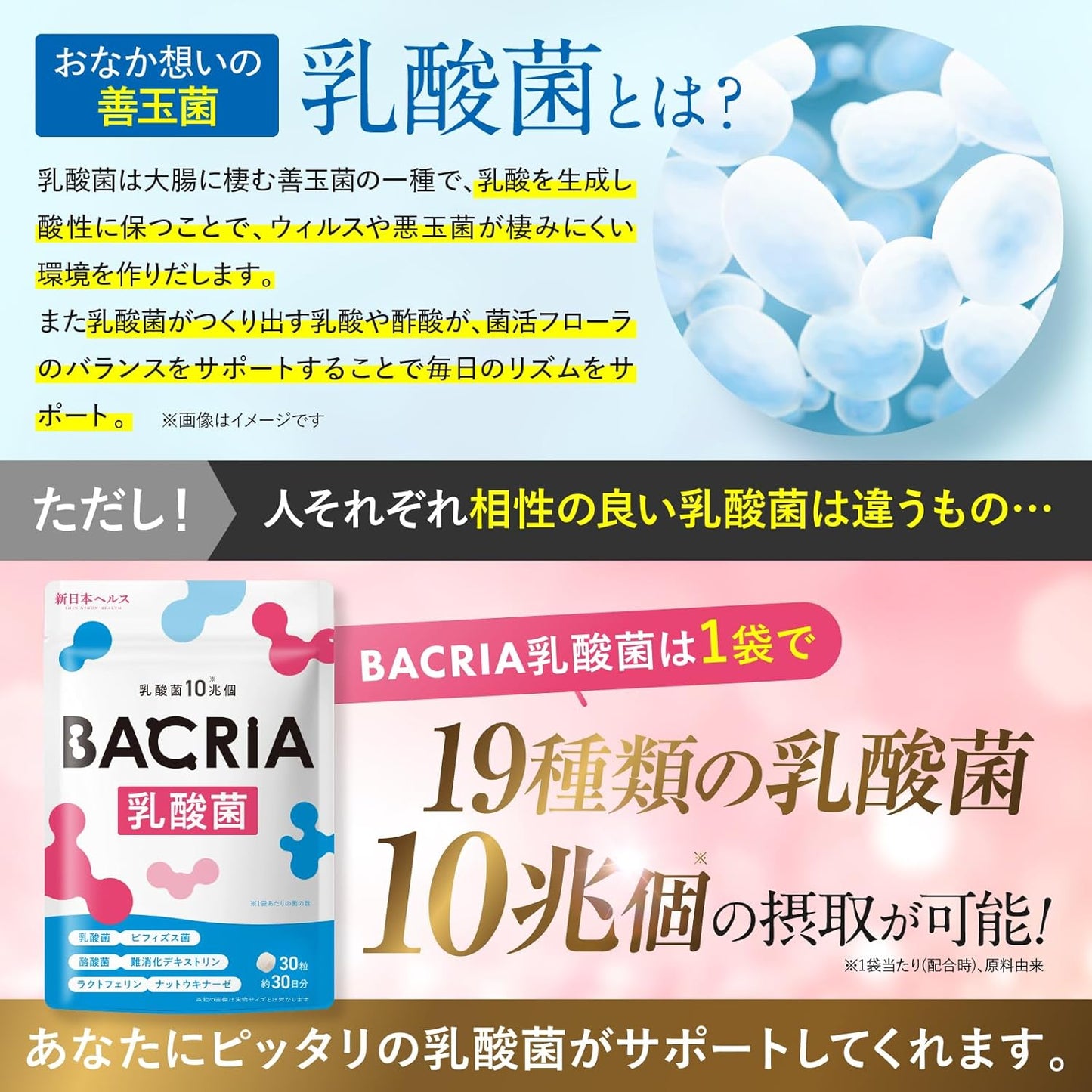 【医師監修】BACRIA乳酸菌 乳酸菌10兆個 ビフィズス菌 酪酸菌 難消化性デキストリン ラクトフェリン ナットウキナーゼ 30粒 約30日分 国内GMP認定工場製造 サプリメント バクリア 新日本ヘルス