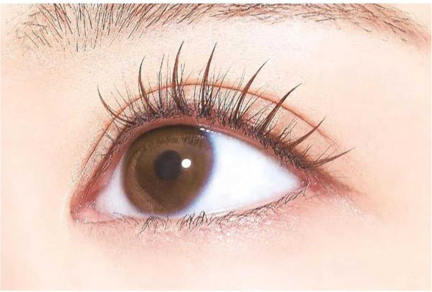 D-UP Quick Extension Atype 04 Brown (120pcs)