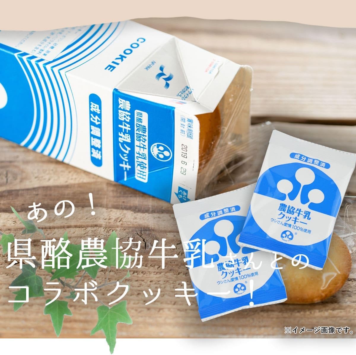 Prefecture Dairy Kyoku Milk Cookies x 2 Boxes (24 Pieces)