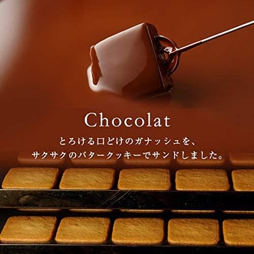 Vanilla Beans, Showcola (Set of 2), Chocolate Gift | お菓子 (手提げ袋付き 個包装) 詰め合わせ 菓子折り お返し プレゼント 手土産 スイーツ チョコ チョコサンド