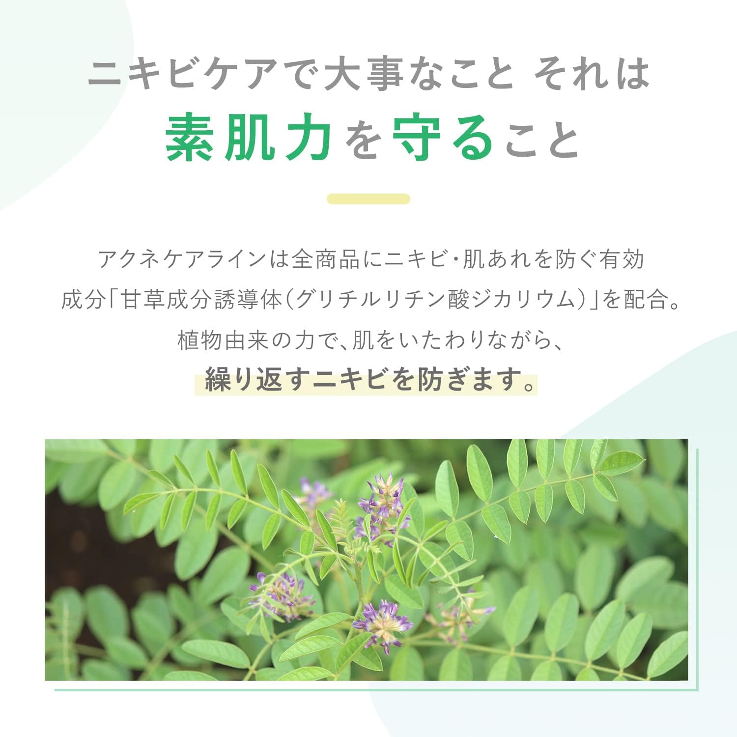 ファンケル (FANCL) (新) アクネケア 化粧液 1本 30ml (約30日分)＜医薬部外品＞ 化粧水 無添加 (ニキビ/肌荒れ/大人ニキビ)