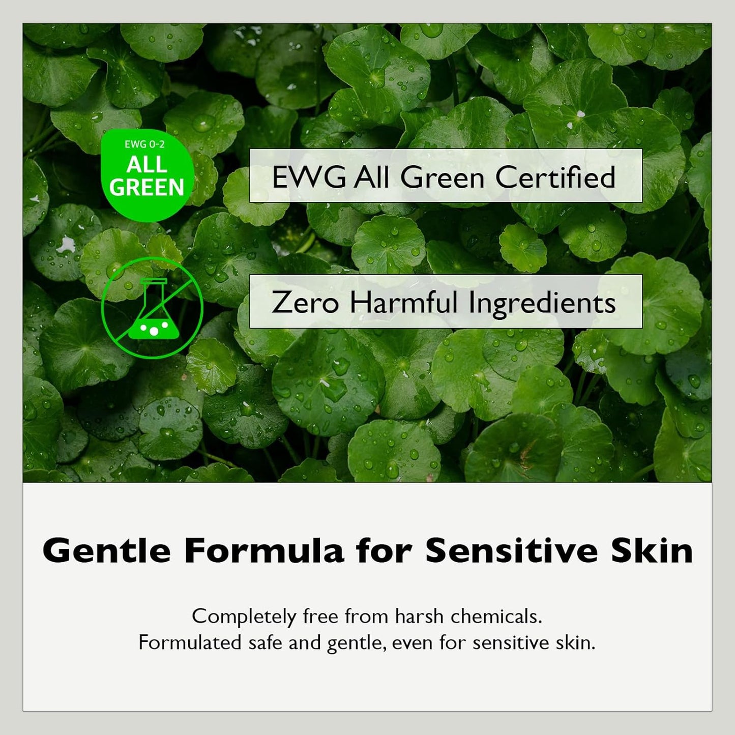 [Lazy Society] Revitalizing 5-in-1 Face Lotion, 5.3 oz (150 g)