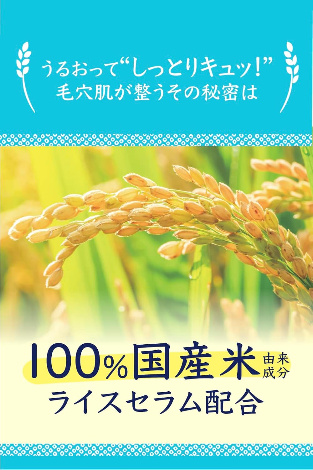 Pore Nadeshiko Rice Lotion, Dry Skin, Moisturizing, Pore Tightening, Open Pores, Moisturizing, Elasticity, 100% Domestic Rice Derived Lotion, 10.1 fl oz (300 ml)