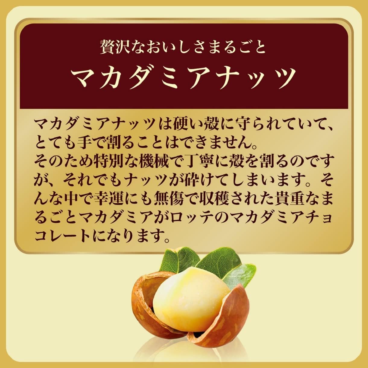 Lotte Macadamia Chocolate 1 Box (9 Tablets)