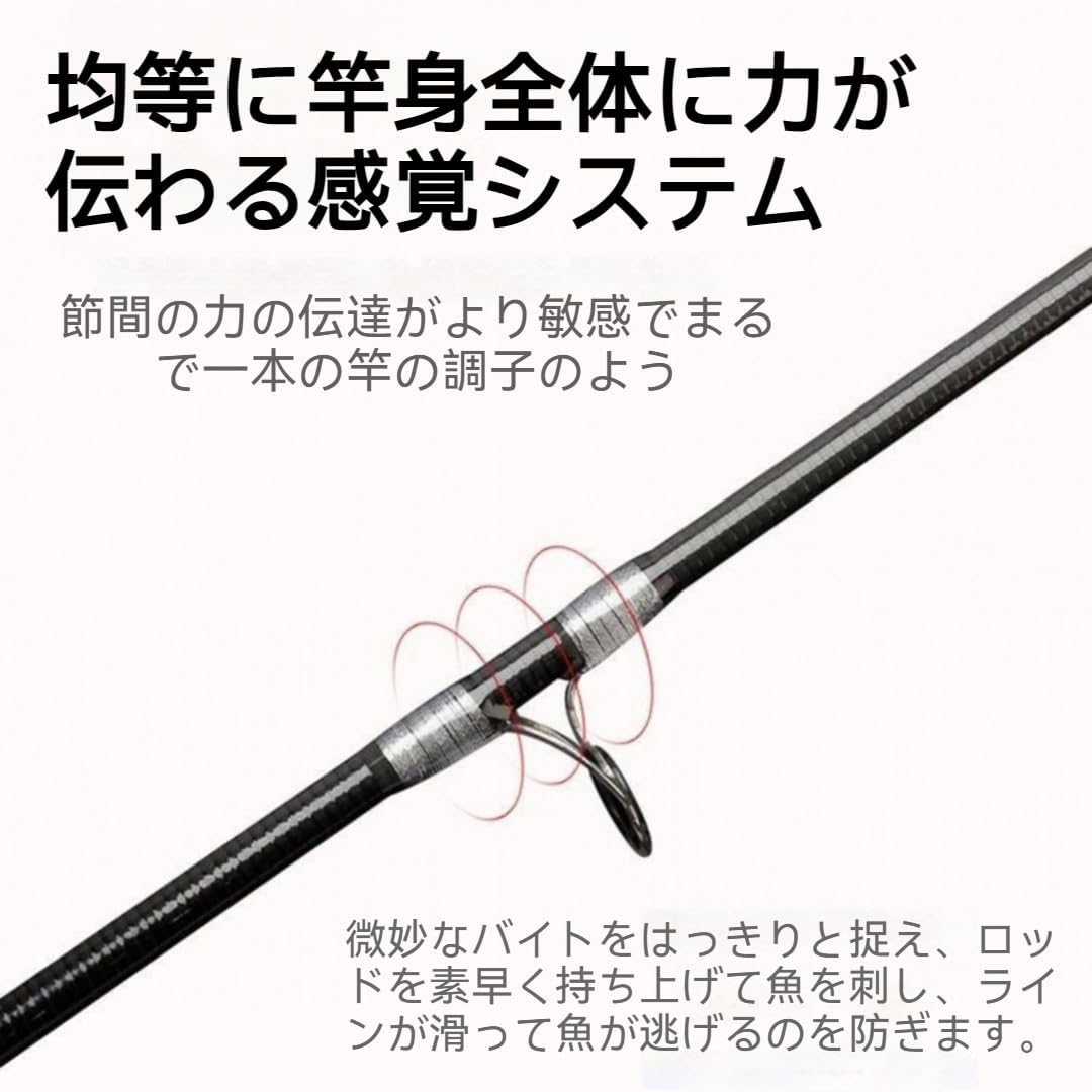 釣り竿、プロ仕様の釣り竿、アクセサリーのフルセット、長距離キャスティングロッド、初心者セット、ダブルブレーキ、軽量、セラミックガイドリング、高速フッキング/逃げない、正確なキャスティング、あらゆる種類の魚を捕まえるのに適しています、釣り人への贈り物 [並行輸入品]
