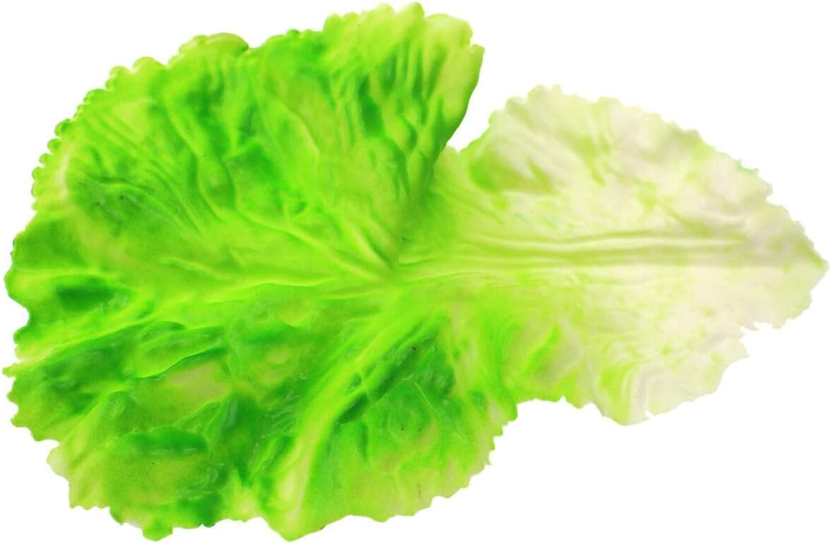 Speed mao Lifelike Sunny Lettuce, Green Vegetables, Food Sample, Model, Set of 5