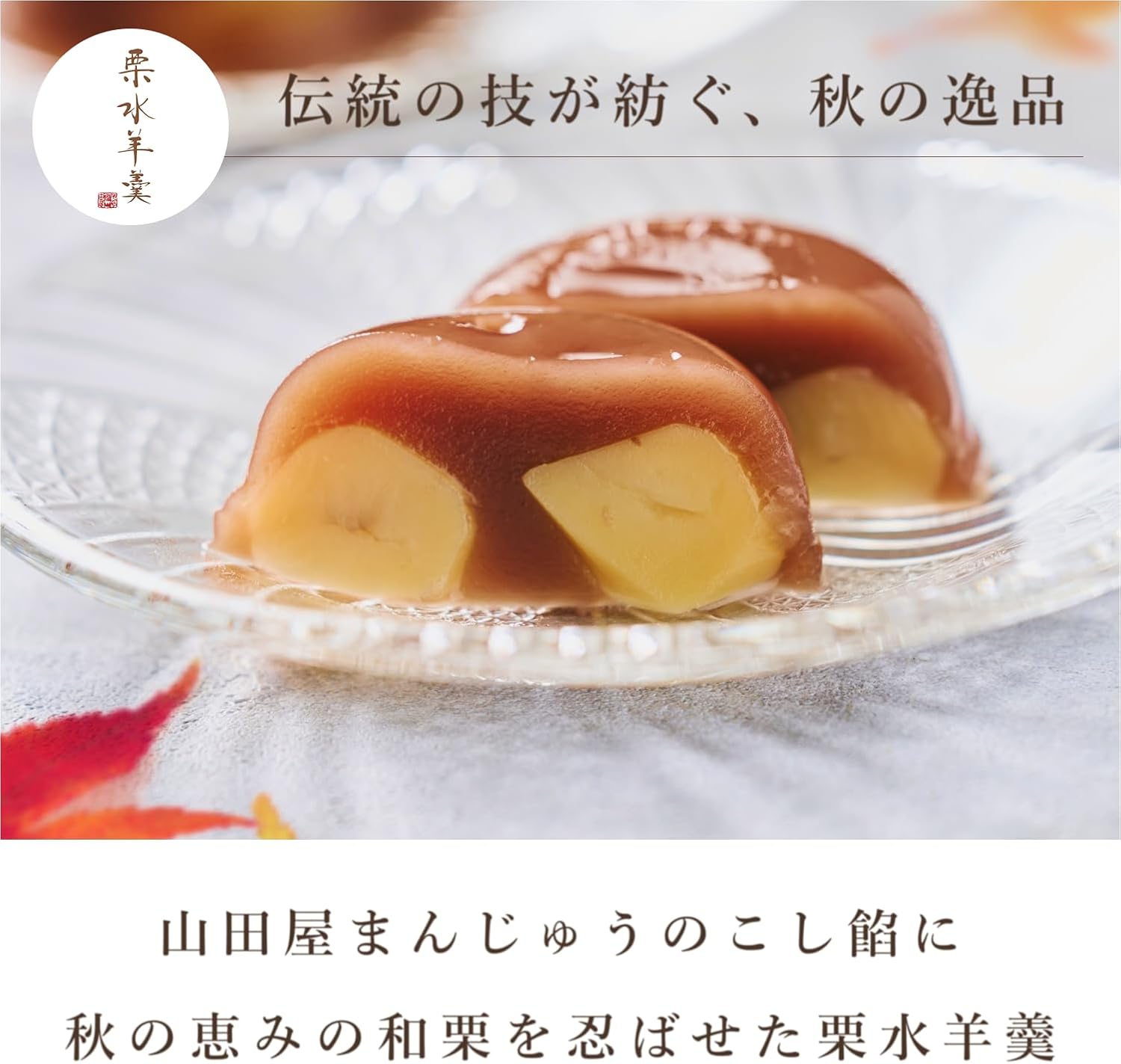 Yamadaya Manju Chestnut Yo-kan, Pack of 6 | 和菓子,ギフト,水ようかん,詰め合わせ,個包装,高級,お菓子,お取り寄せ,お茶菓子,手土産,愛媛,贈答品,スイーツ,あんこ,プレゼント,お礼,お返し,お供え,お中元,敬老の日,お彼岸
