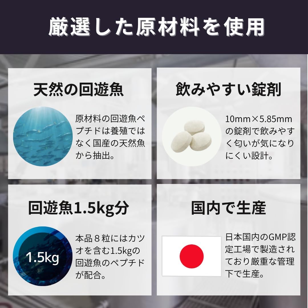 KATSUO STAMINA KATSUA 1 Bag (8 Capsules)