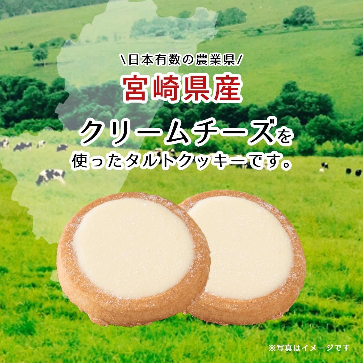 Yutaka Shokai Miyazaki Cheese Time, Large, Pack of 21