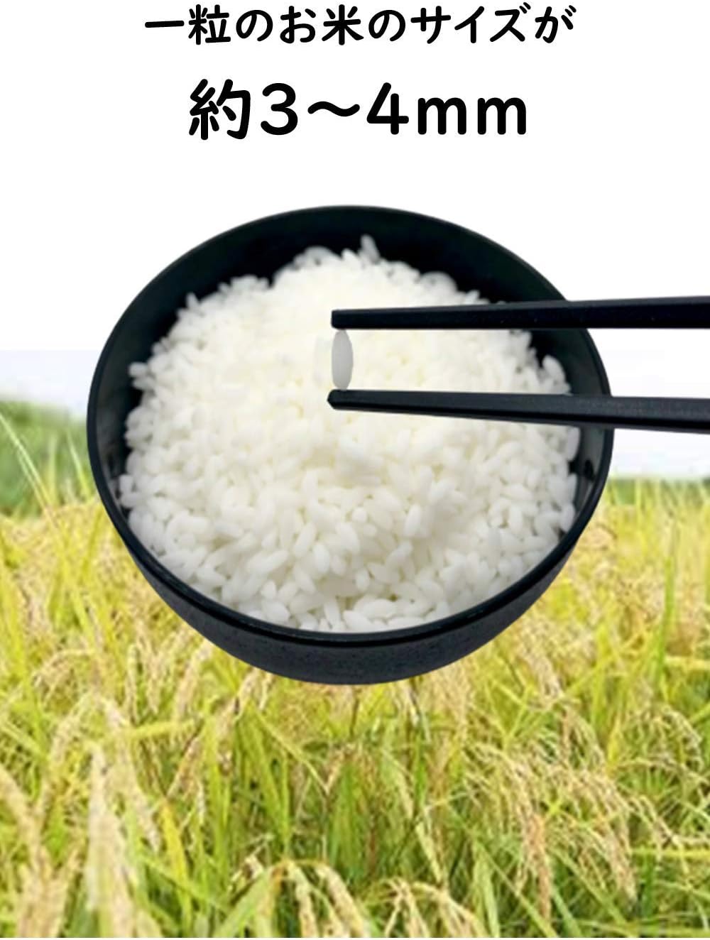 Food Sample Material Made in Japan Rice Natural White Standard 200g by Shokunin Sample Shop Yamato Soul