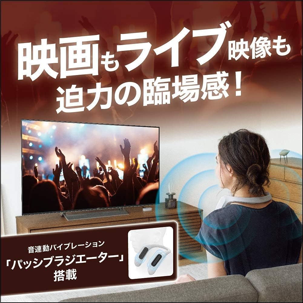 Sony SRS-WS1 Wearable Neck Speakers, TV / Movie / Video Game Speakers, Sound-Enhancing Vibration Function, 2017 Model