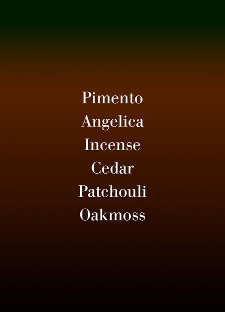 FREDERIC MALLE パルファム フレンチラバー 100 ml - Image 3