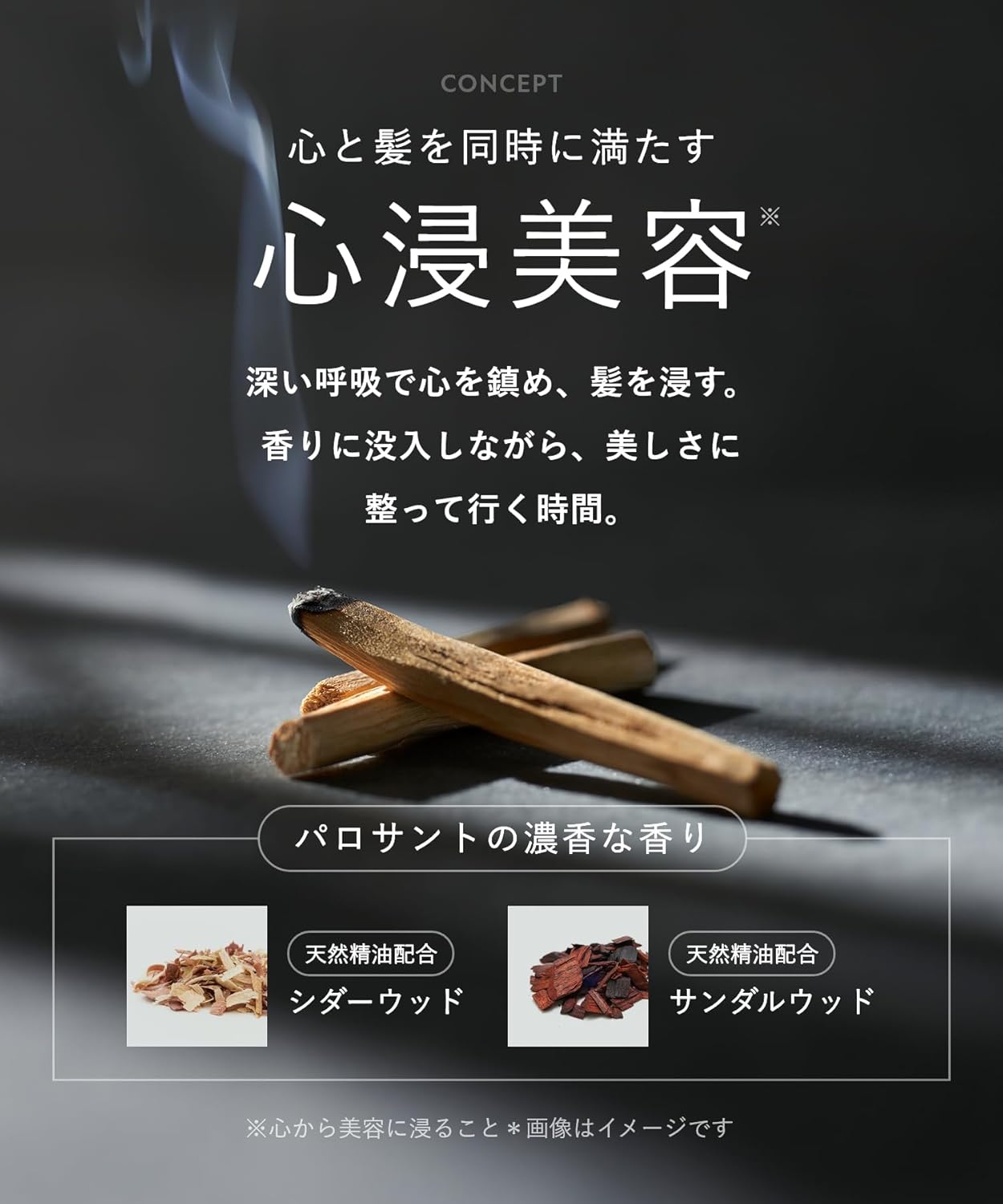 Botanist Santal Repair Hair Oil