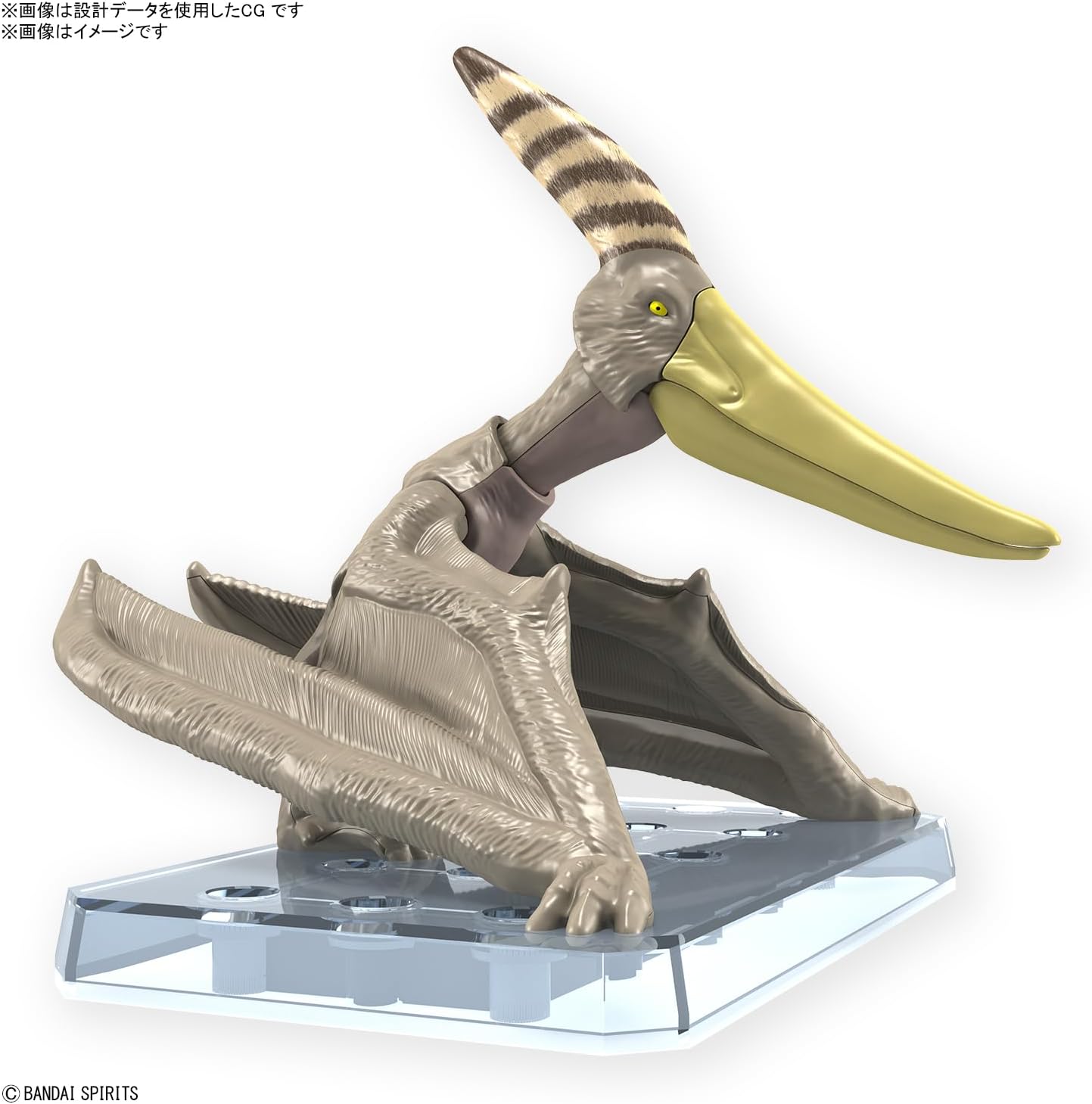 Bandai Spirits Planosaurus Pteranodon Color Coded Plastic Model
