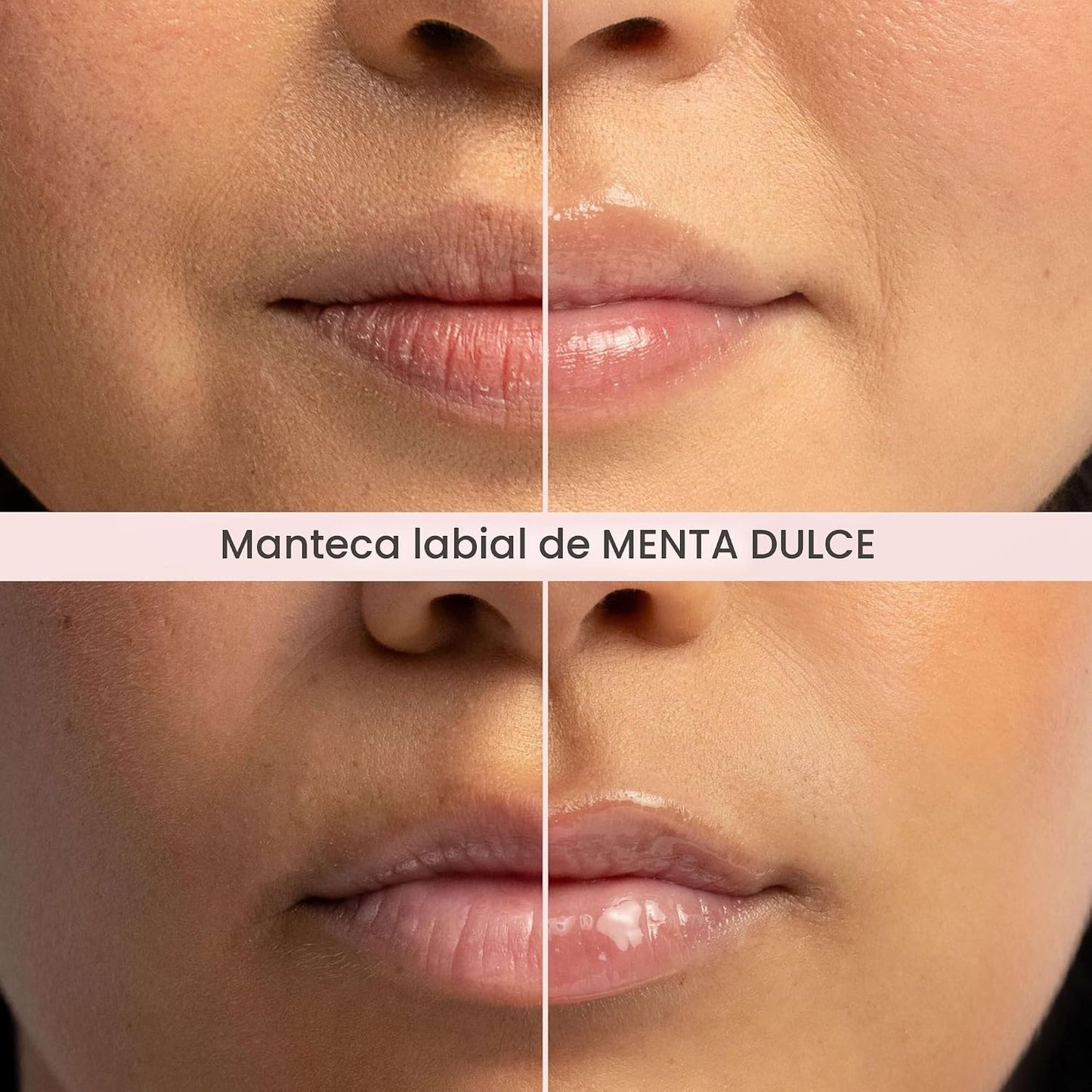 Burt's Bees Mantequilla labial de menta dulce, repara los labios secos, hidratación 24 horas, bloquea la humedad, incluye mantecas de karité y mango, vitamina E rica en antioxidantes, conveniente dispensador de torsión, 0.5 onzas.