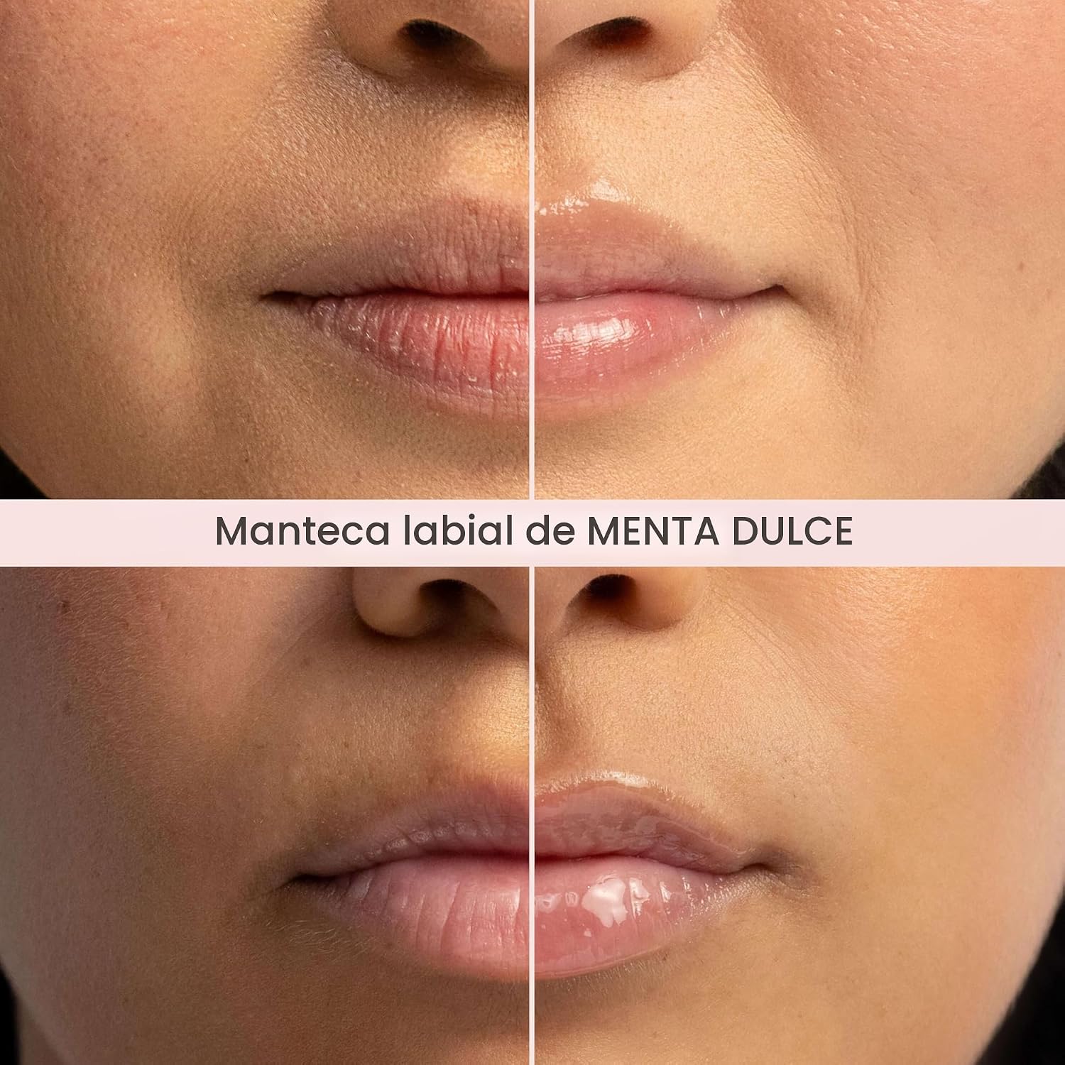 Burt's Bees Mantequilla labial de menta dulce, repara los labios secos, hidratación 24 horas, bloquea la humedad, incluye mantecas de karité y mango, vitamina E rica en antioxidantes, conveniente dispensador de torsión, 0.5 onzas.