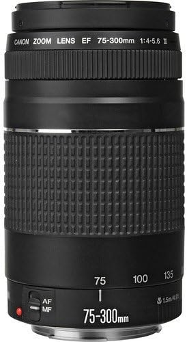 キャノンEF 75-300mm f/4-5.6 III 望遠ズームレンズ