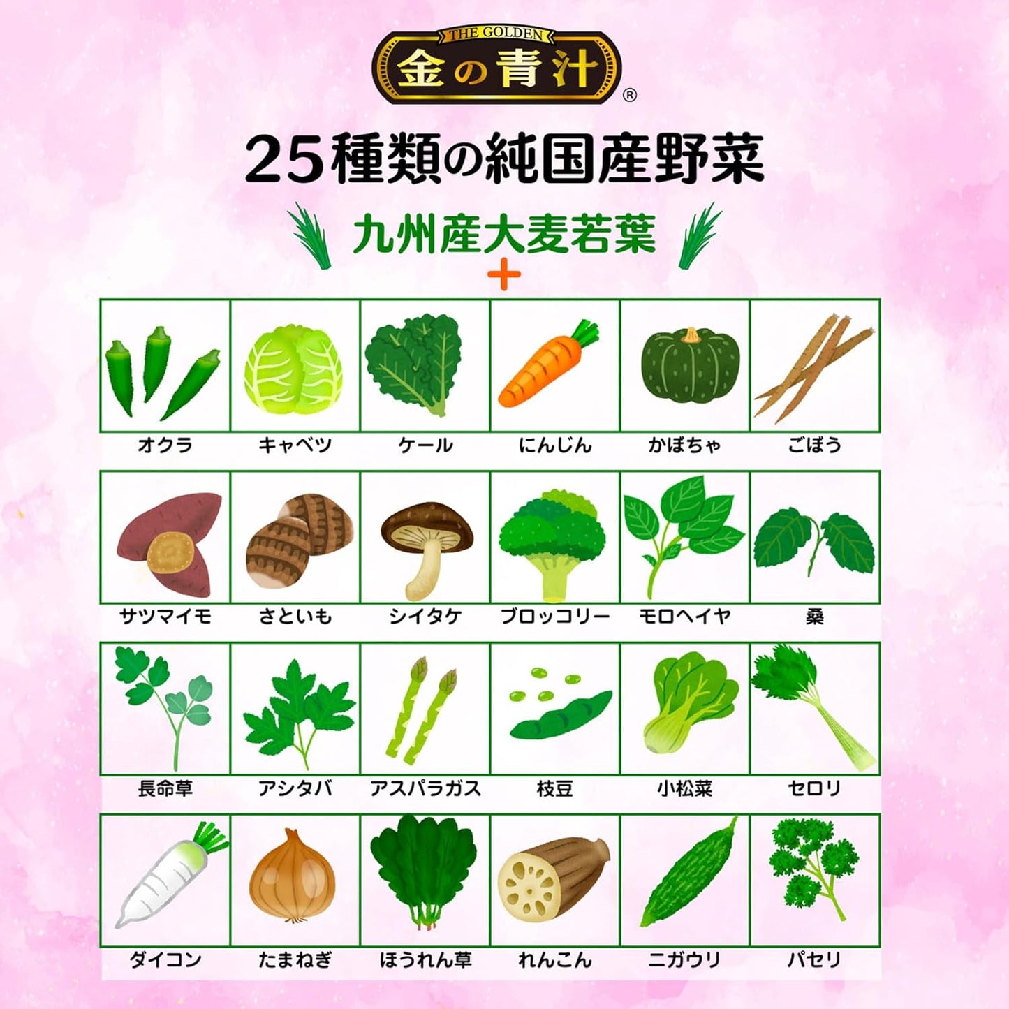 NIHON YAKKEN Golden Green Juice (R) 25 Pure Domestic Vegetables Lactic Acid Bacteria x Enzyme (Dietary Fiber/Bifidobacteria/Butyric Acid Bacteria) Supplement 60 Particles (Domestic/Vegetable