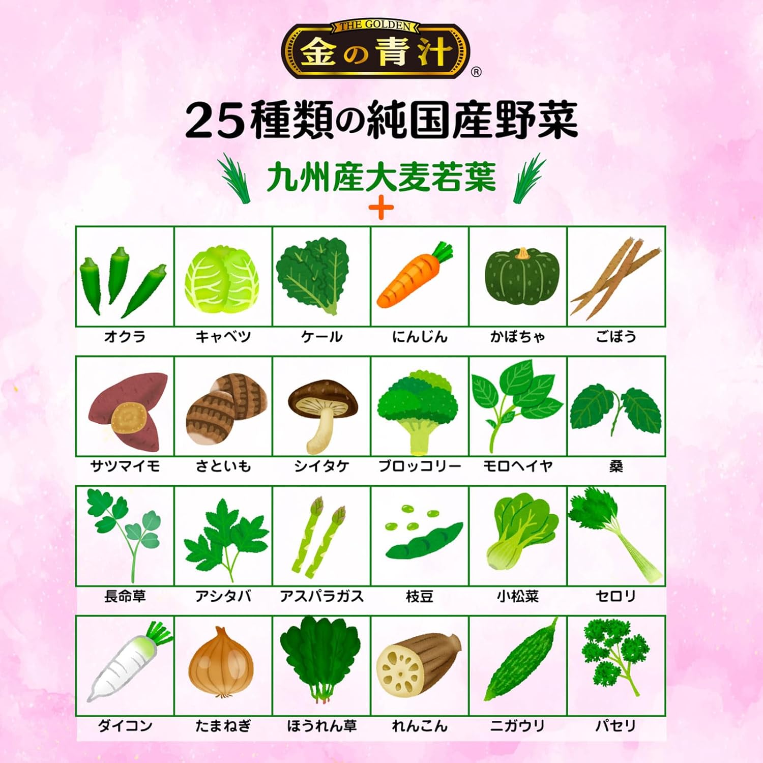 NIHON YAKKEN Golden Green Juice (R) 25 Pure Domestic Vegetables Lactic Acid Bacteria x Enzyme (Dietary Fiber/Bifidobacteria/Butyric Acid Bacteria) Supplement 60 Particles (Domestic/Vegetable