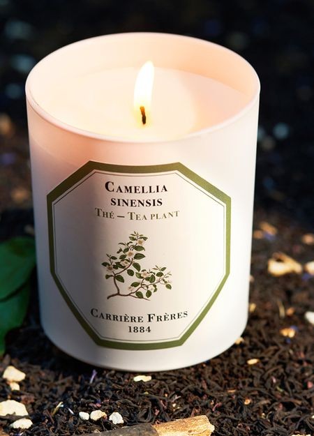 CARRIERE FRERES フレグランスキャンドル テ - カメリア・シネンシス 185 g - Image 3