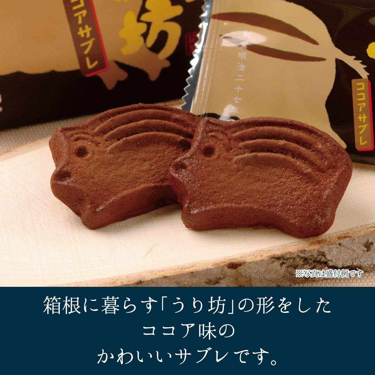 【Direct from Manufacturer】Shiino Foods Hakone no Uribo Cocoa Sablé 12 pieces Souvenir Gift Sweets Mail Order Hakone Souvenir Hand-carried Gift