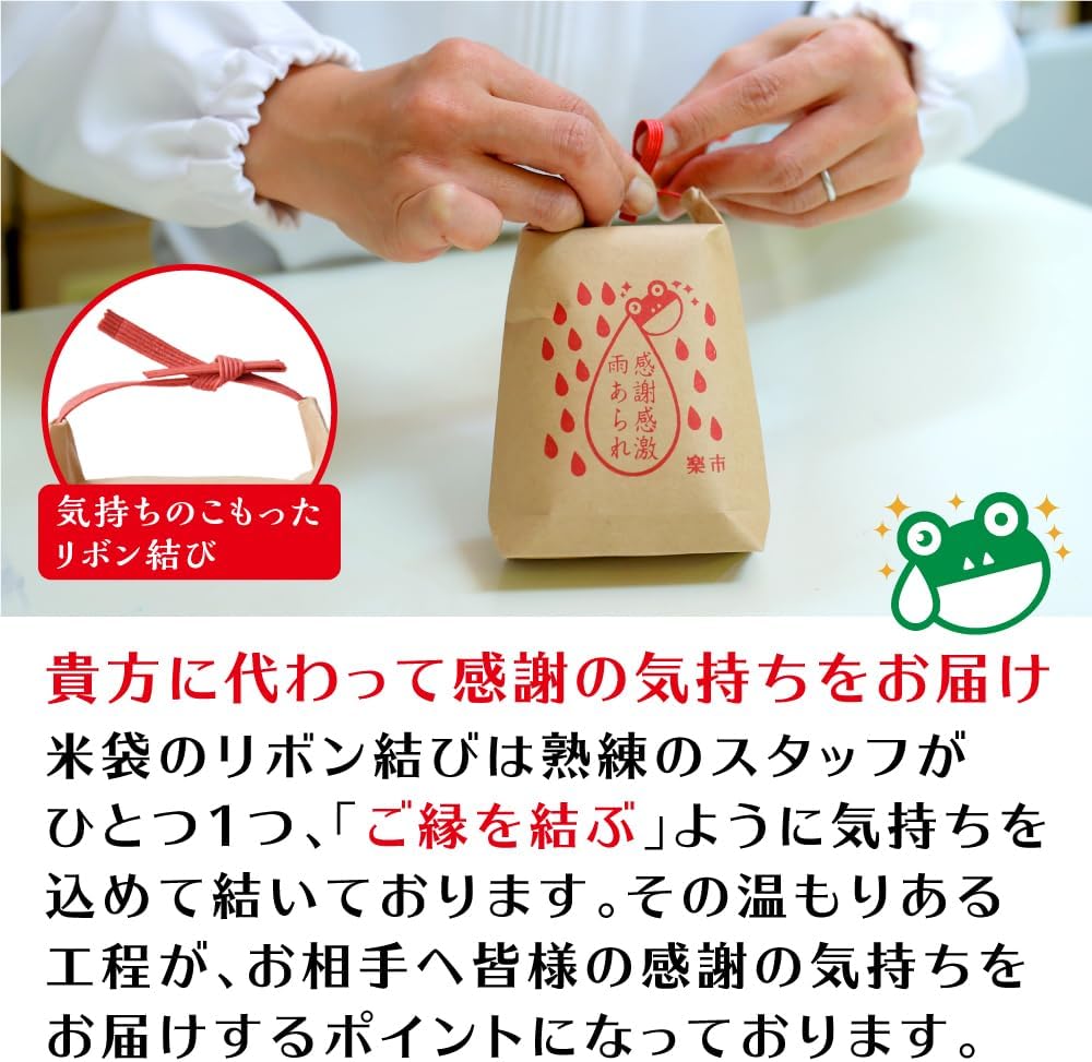 Okashi Rakuichi Kansha Kangeki Amearare Arigatou Arare Mini Rice Bag, 10-Pack (Assorted Set of 10) Okak, Individually Wrapped, Hail, Assortment, Message, Summer Gift, Retirement, Job Change, Sweets