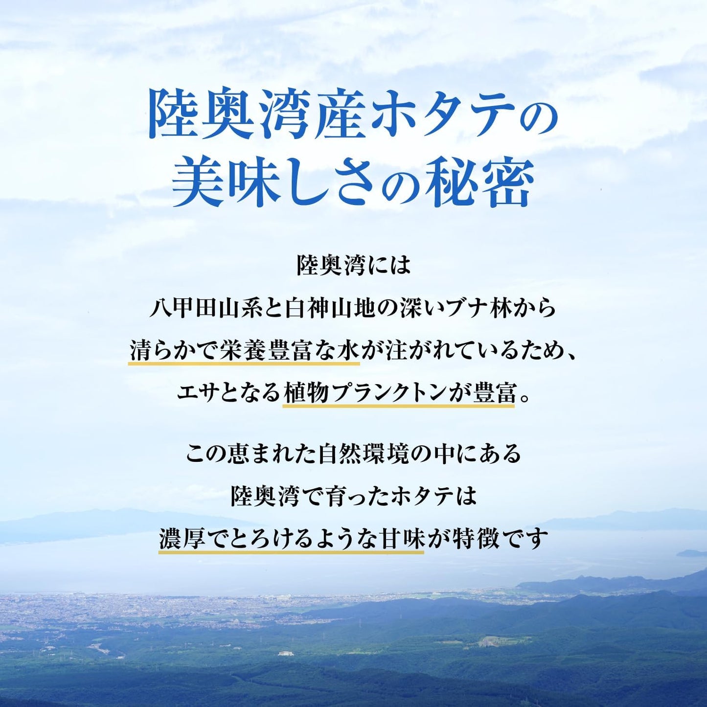 【 Aomori Prefecture Mutsu Bay-Produced Grilled Scallops, Seasoned 】6-Can Set 50g Domestically Produced Canned Scallops, Soy Sauce Flavor, Luxury, Evening Snack, Rice Companion, Gift, Disaster