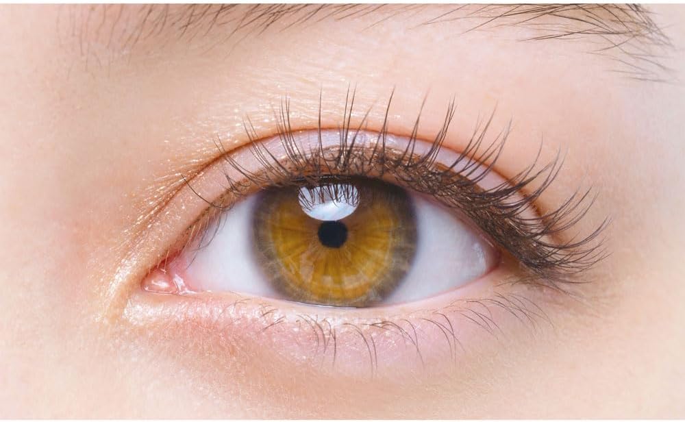 DeeUp Lash On 01 Natural (2 Pairs)