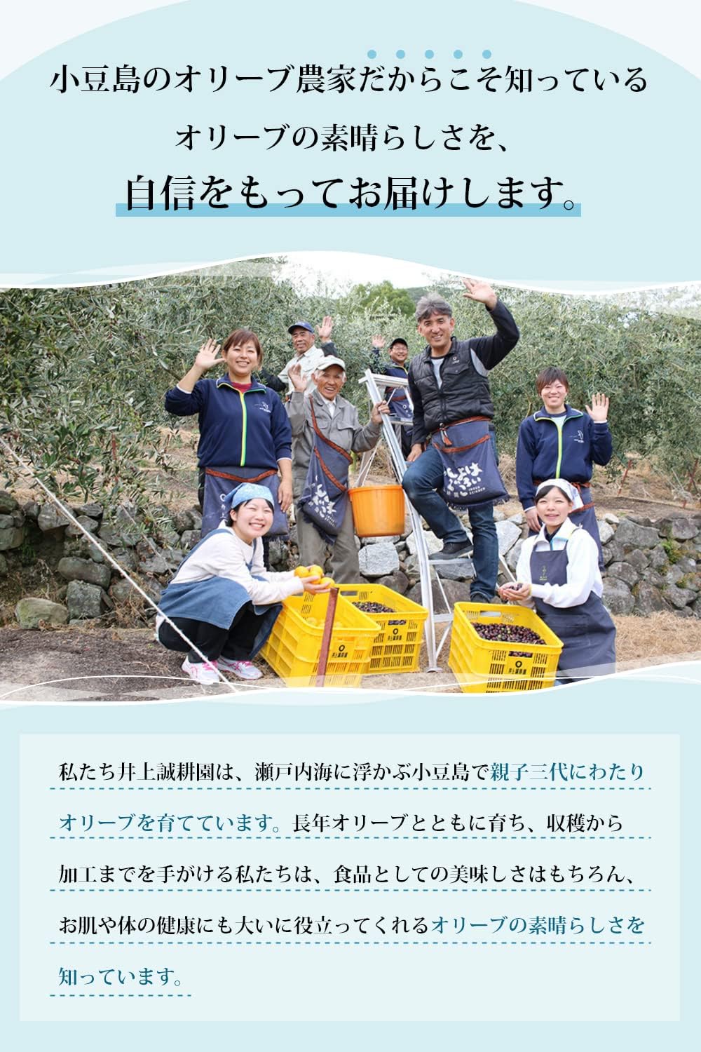 Inoue Seikoen Olive Milk Lotion (Natural Milk Lotion) 1.7 fl oz (50 ml) Skin Care