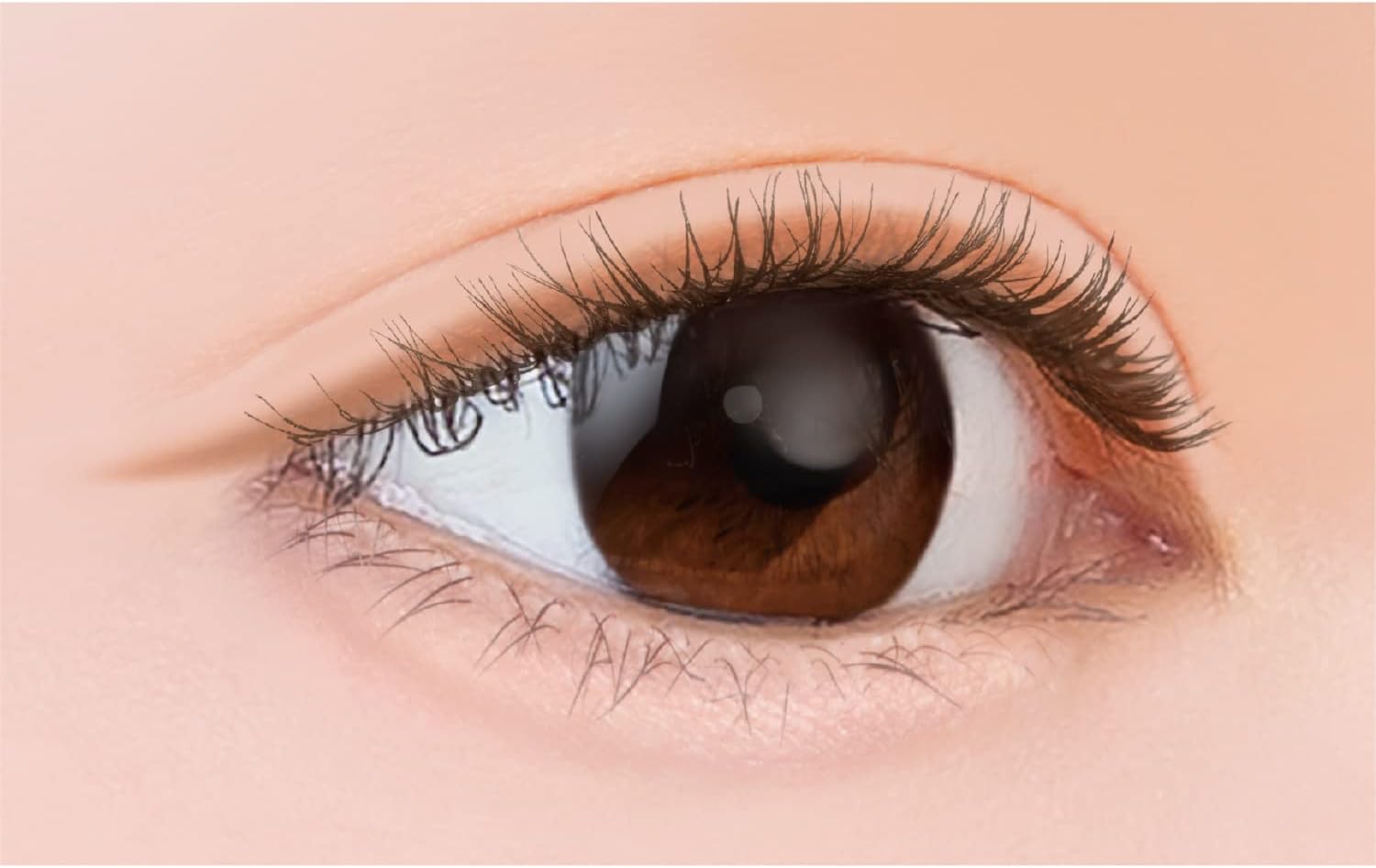 Excel Nuance Full Pencil Liner NP05 (Caramel) Eyeliner