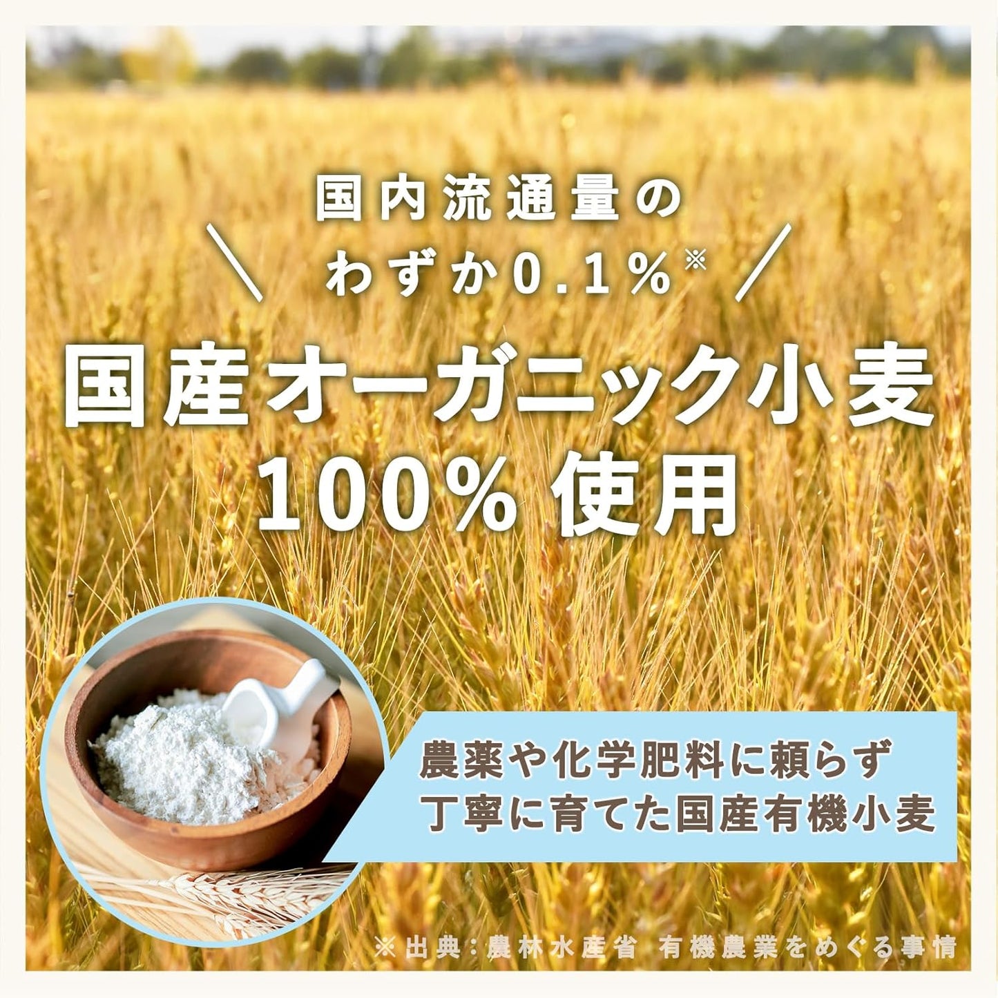 Little One's Domestic Buttermilk Pancake Mix from Around 9 Months 100g×6pcs [Organic Wheat Flour Used, Aluminum-Free, Mild Sweetness, No Additives of Fragrance, Coloring, or Preservatives, Hotcake