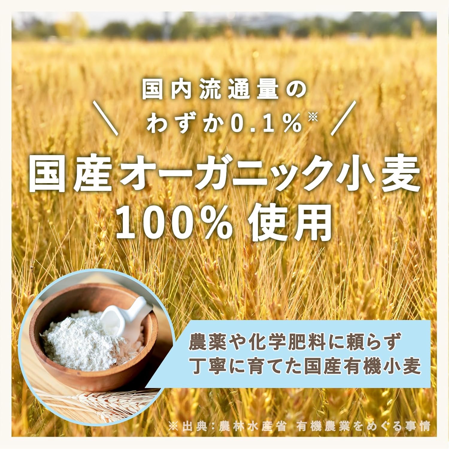 Little One's Domestic Buttermilk Pancake Mix from Around 9 Months 100g×6pcs [Organic Wheat Flour Used, Aluminum-Free, Mild Sweetness, No Additives of Fragrance, Coloring, or Preservatives, Hotcake