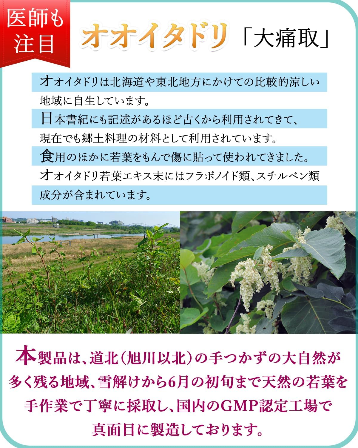 Itadori Supplement, "Big Pain Relief" Made in Hokkaido, Industry's Highest Standard 7,200 mg Formulation, Oitadori Supplement, Supervised by Orthopedic Anesthesiologist, Super Sugo Raku, Glucosamine x