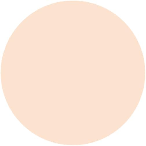 Priol (Quasi-Drug) Medicated Cooling Beauty BB Spray, EX b Light, Foundation Light, 1.8 oz (50 g)