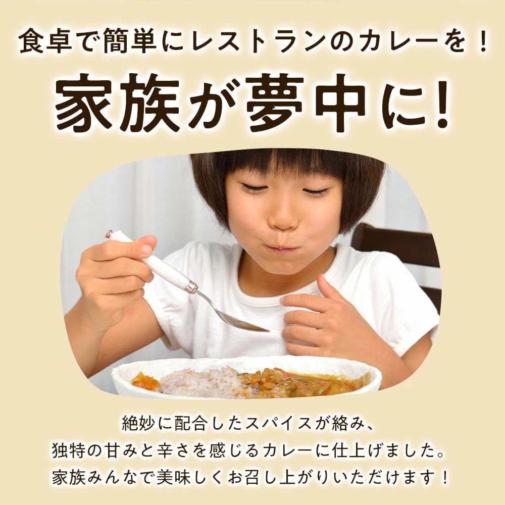 Awaji Island Onion and Awaji Beef Curry - (10 bags) #Curry - 10 bags #