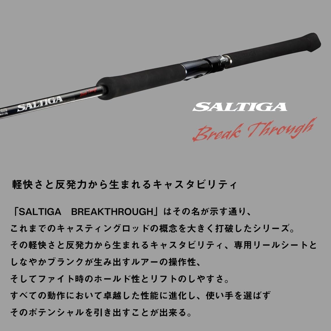 DAIWA Casting Rod, SALTIGA BREAKTHROUGH C83-6/C710-8/C82-8 Various (2024 Model)