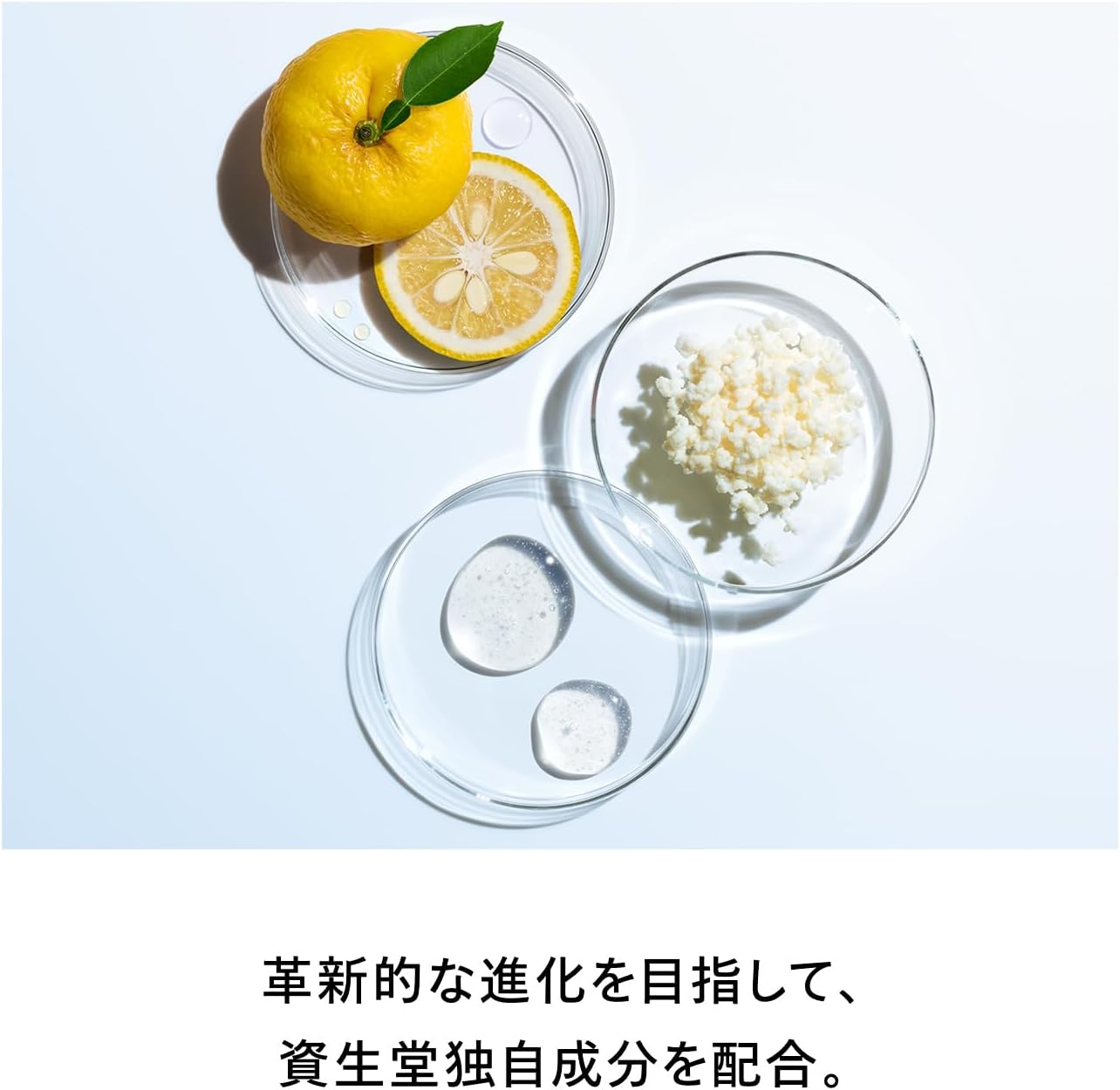 Shiseido Essence Lotion (Refill), 5.1 fl oz (145 ml), Includes Special Beauty Serum Size (0.3 fl oz (10 ml) (March 25), Makeup, Milk, Lotion, Moisturizing, Dry Small, Transparency, Shiseido