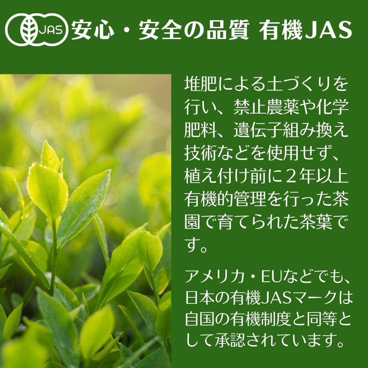 Yamashiro Bussan [Earth and Water Tea Organic Brown Rice Tea Bag with Matcha, 0.1 oz (2.5 g) x 25], JAS Domestic Brown Rice Tea Japanese Tea