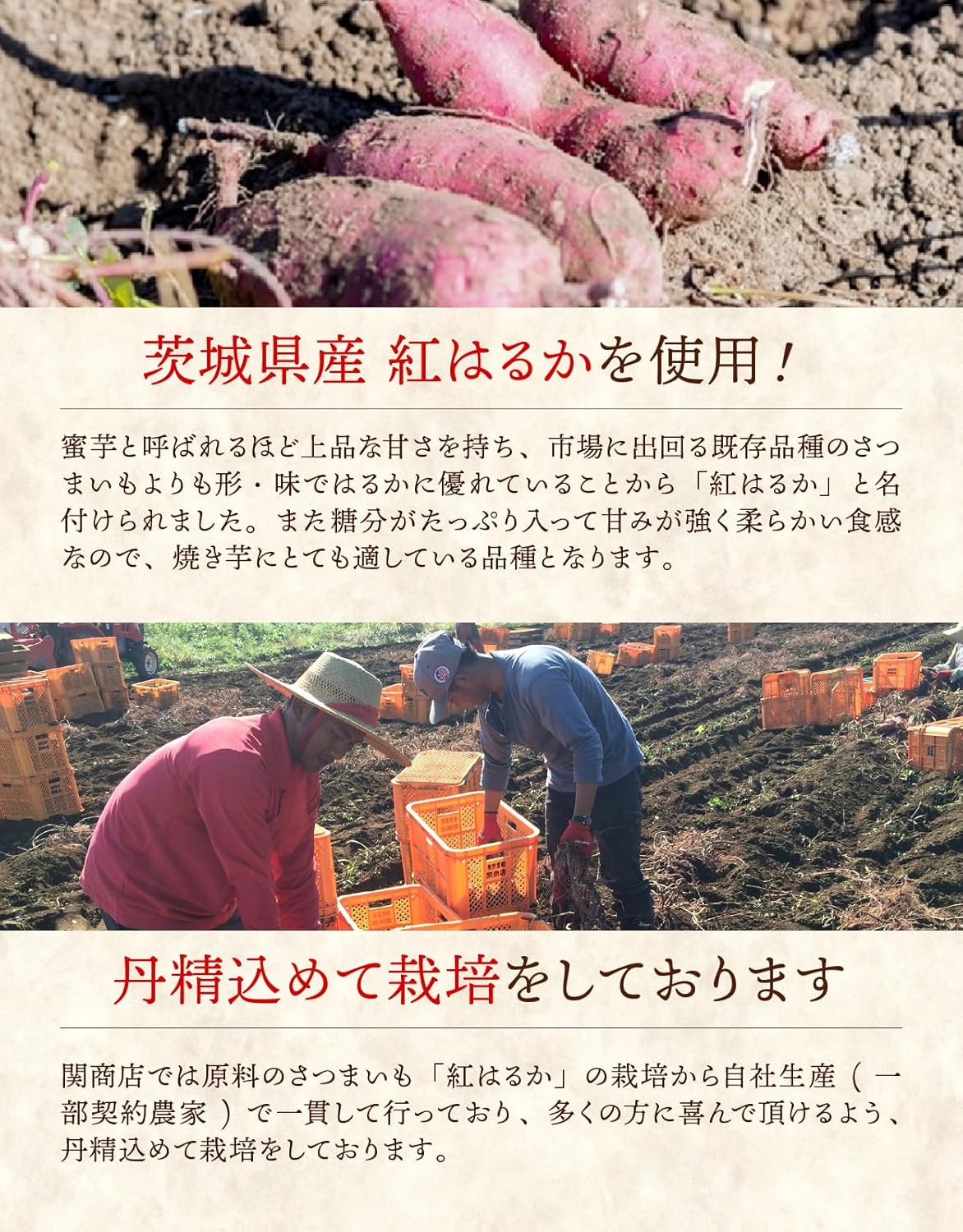 Seki Shoten Dried Sweet Potato Flat Dried Domestic No Additives Hoshiimo Beni Haruka Mail Order Ibaraki Domestic Beni Haruka Sweet Potato Seki Shoten (10.6 oz (300g) × 3 bags)