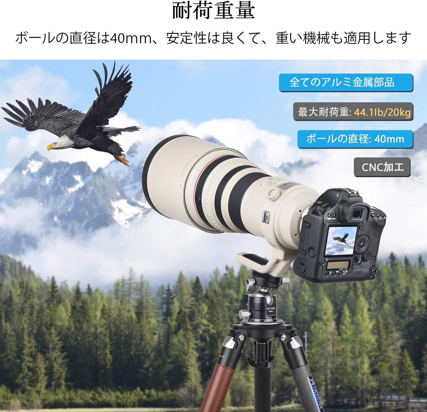 Low Center of Gravity, Double Panorama, 1.6 inches (40 mm) Diameter, Ball Head 360 Degree Rotation, CNC Machined, Aluminum Alloy, ARTCISE Free Head with Level, Arca-Swiss Quick Shoe Included, Maximum