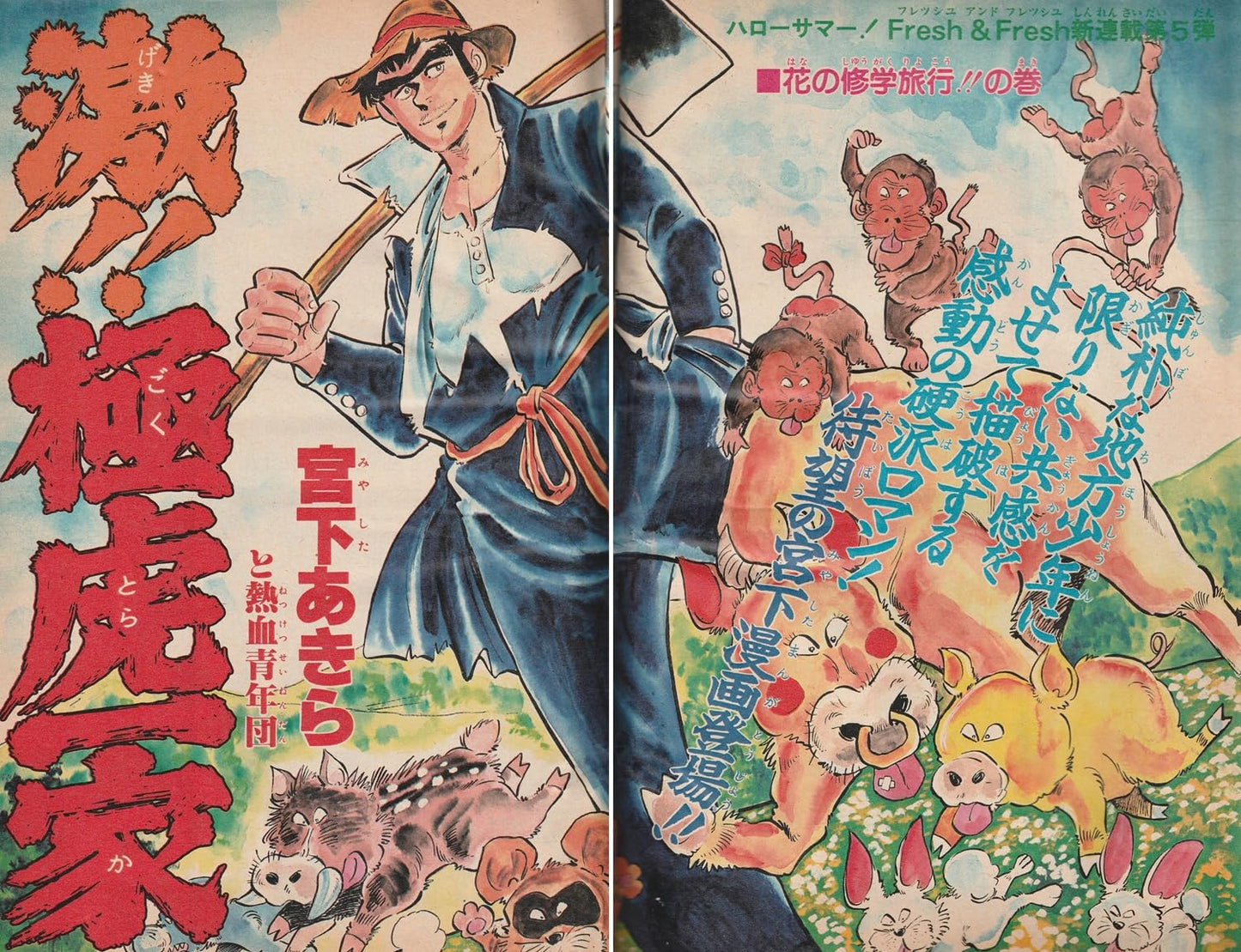週刊少年ジャンプ 1980年9月1日号 No.35 (通巻612号) 新連載「激！！極虎一家」宮下あきら