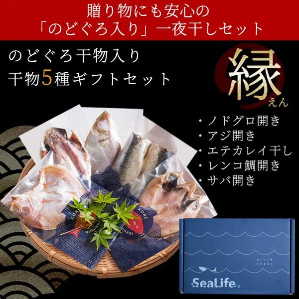 Sanin Dried Fish Set, Dried Fish Set, Carefully Selected Overnight Dried in Shimane and Hamada Port (5 Types of Dried Fish) (5 Types of Dried Fish) Additive-Free Dried Fish Gift