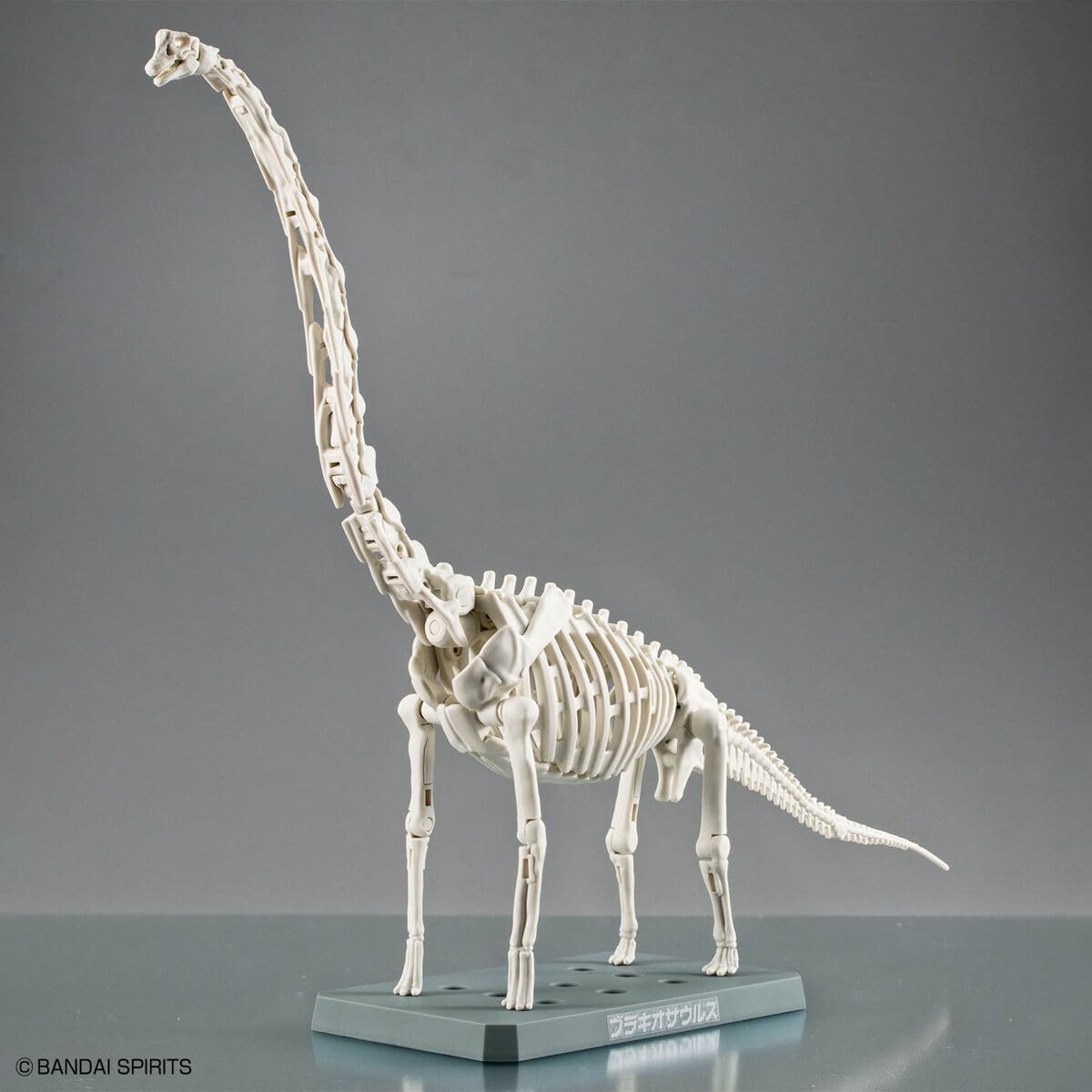 Bandai Spirits Planosaurus Brachiosaurus Color Coded Plastic Model